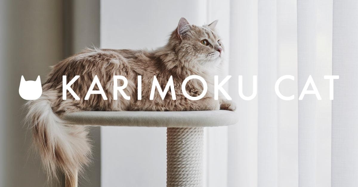 CONCEPT – KARIMOKU CAT