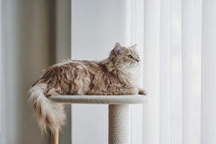 KARIMOKU CAT TREE 専用綿縄パーツセット（ショート＆ロング）