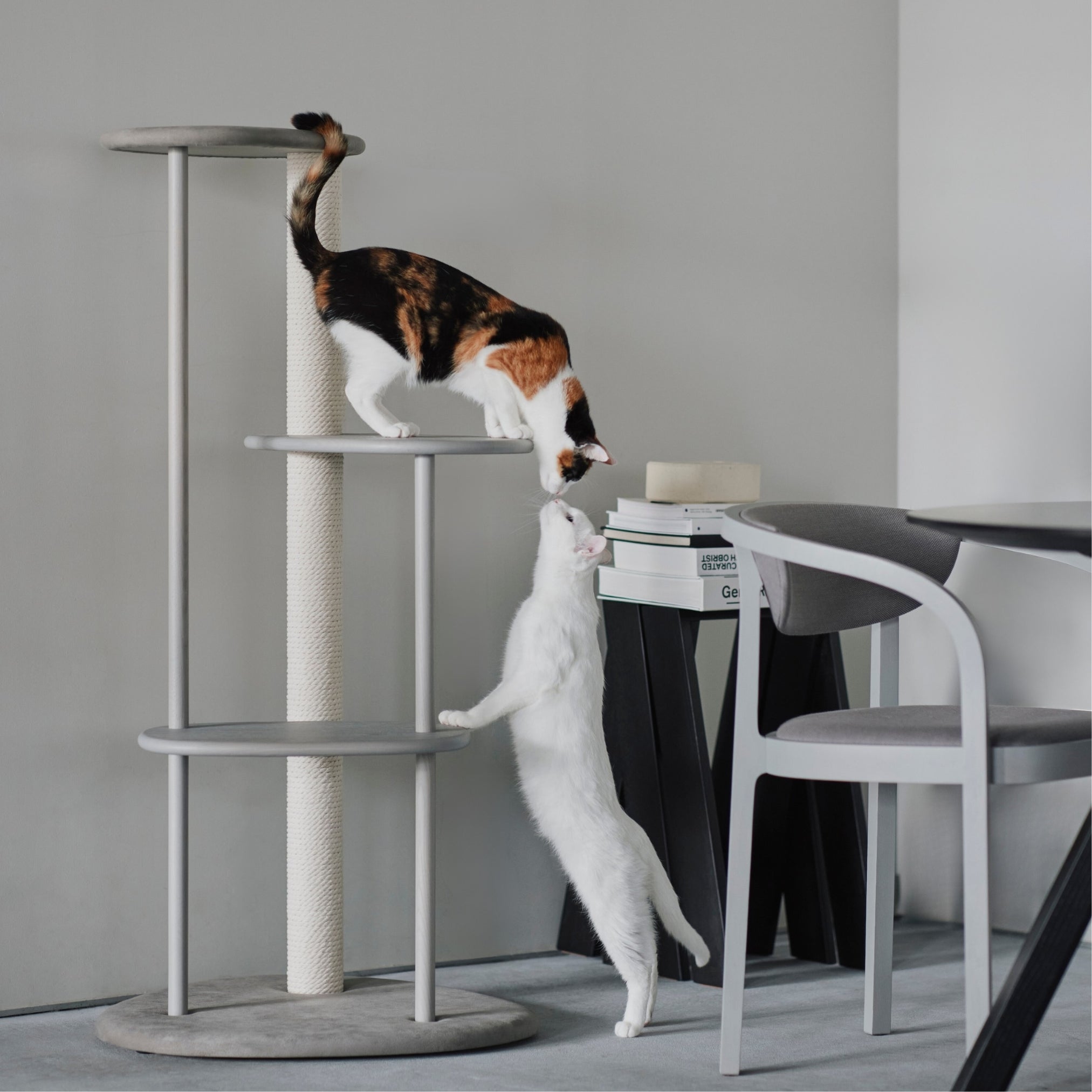 KARIMOKU CAT（カリモクキャット）公式サイト｜猫用木製家具