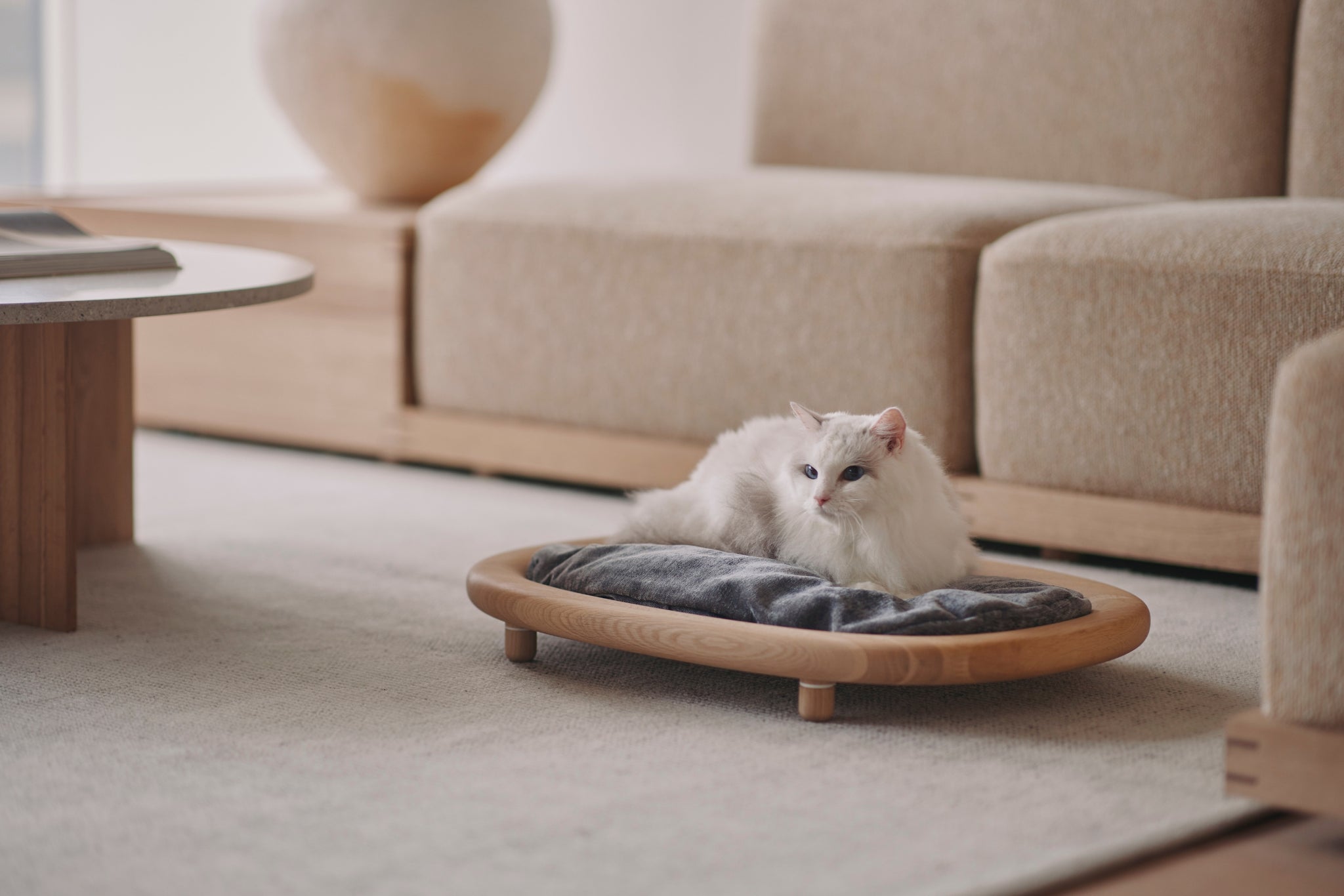 KARIMOKU CAT（カリモクキャット） | 公式サイト