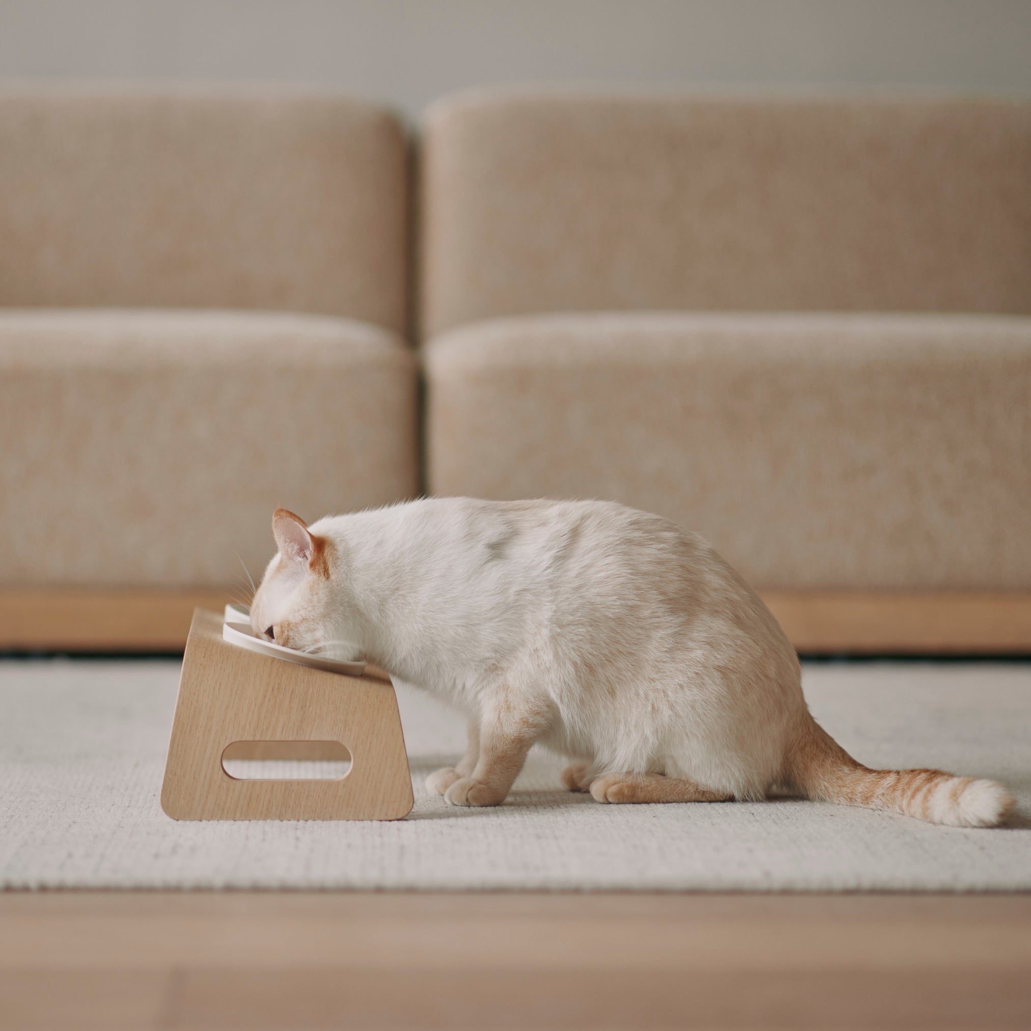 KARIMOKU CAT（カリモクキャット）公式サイト｜猫用木製家具