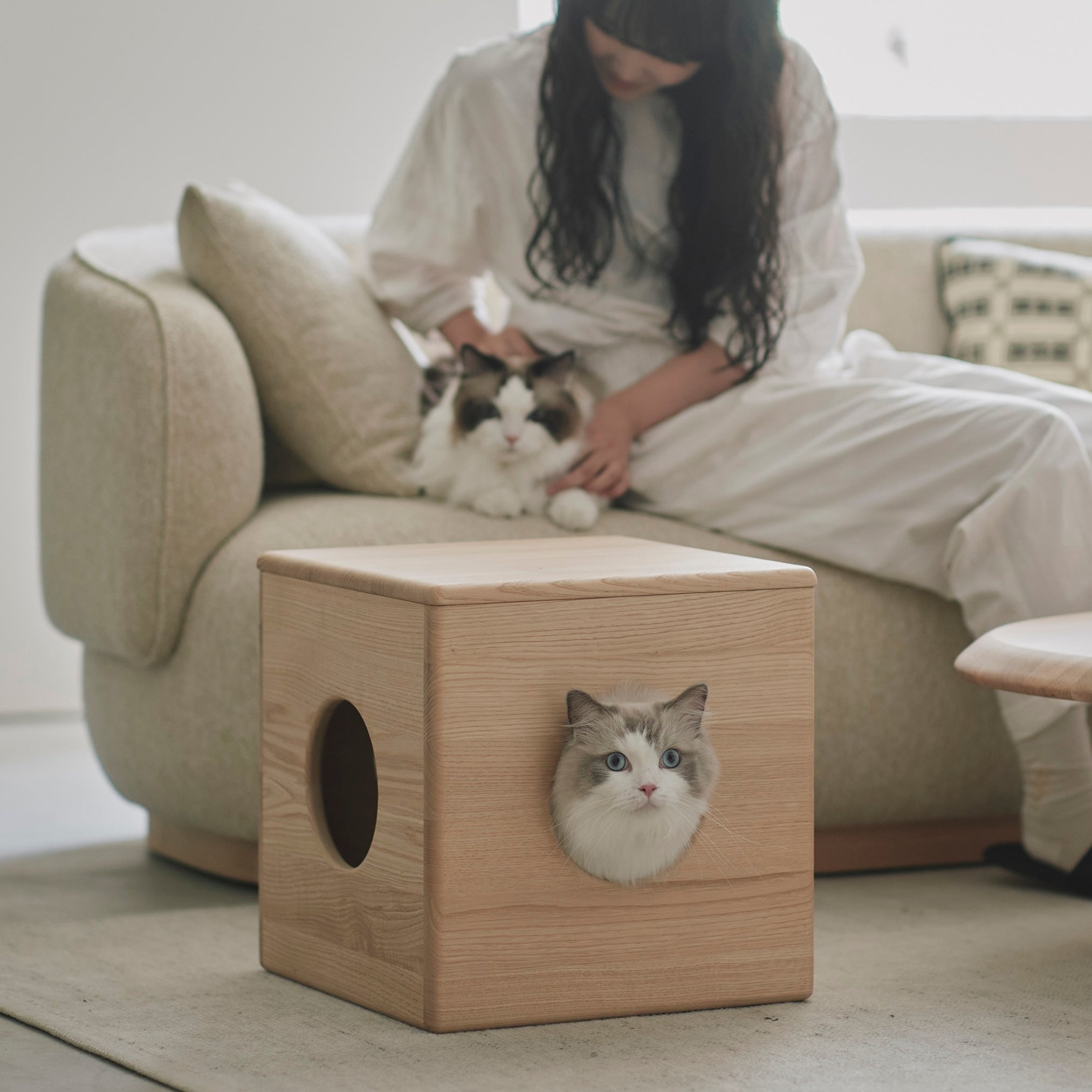 KARIMOKU CAT（カリモクキャット） | 公式サイト