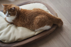 KARIMOKU CAT BED