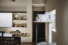 KARIMOKU CAT TREE 専用綿縄パーツ（ロング）
