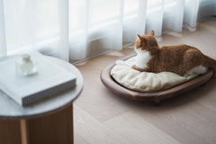 色ブルーモカブラウン【カリモクキャット】KARIMOKU CAT BED