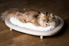 【ほぼ未使用】KARIMOKU CAT BED (カリモク キャット ベッド)